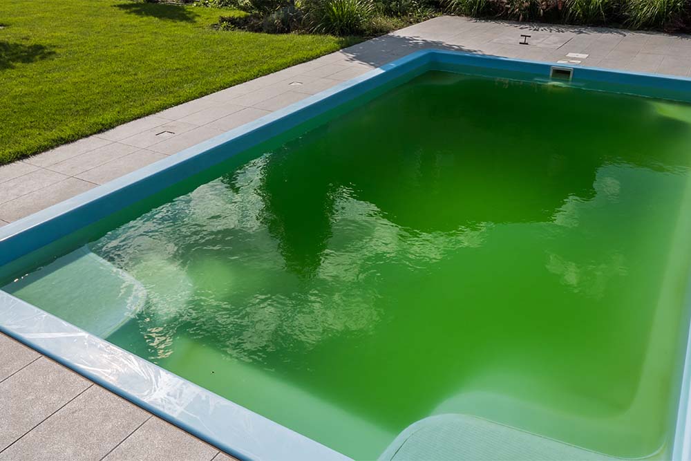 The Importance of Pool Cleaning and Maintenance to Prevent Algae Growth